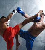 SPORT DE COMBAT